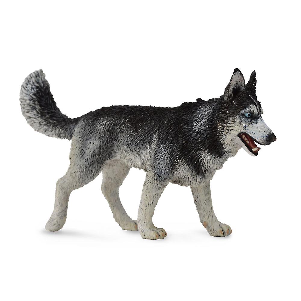 CollectA Realistic Animal Replica Siberian Husky Figure Large Ages 3+ and Up
