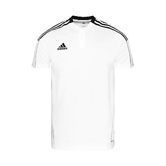 Adidas Tiro 21 Polo GM7363 fodbold hele året mænd