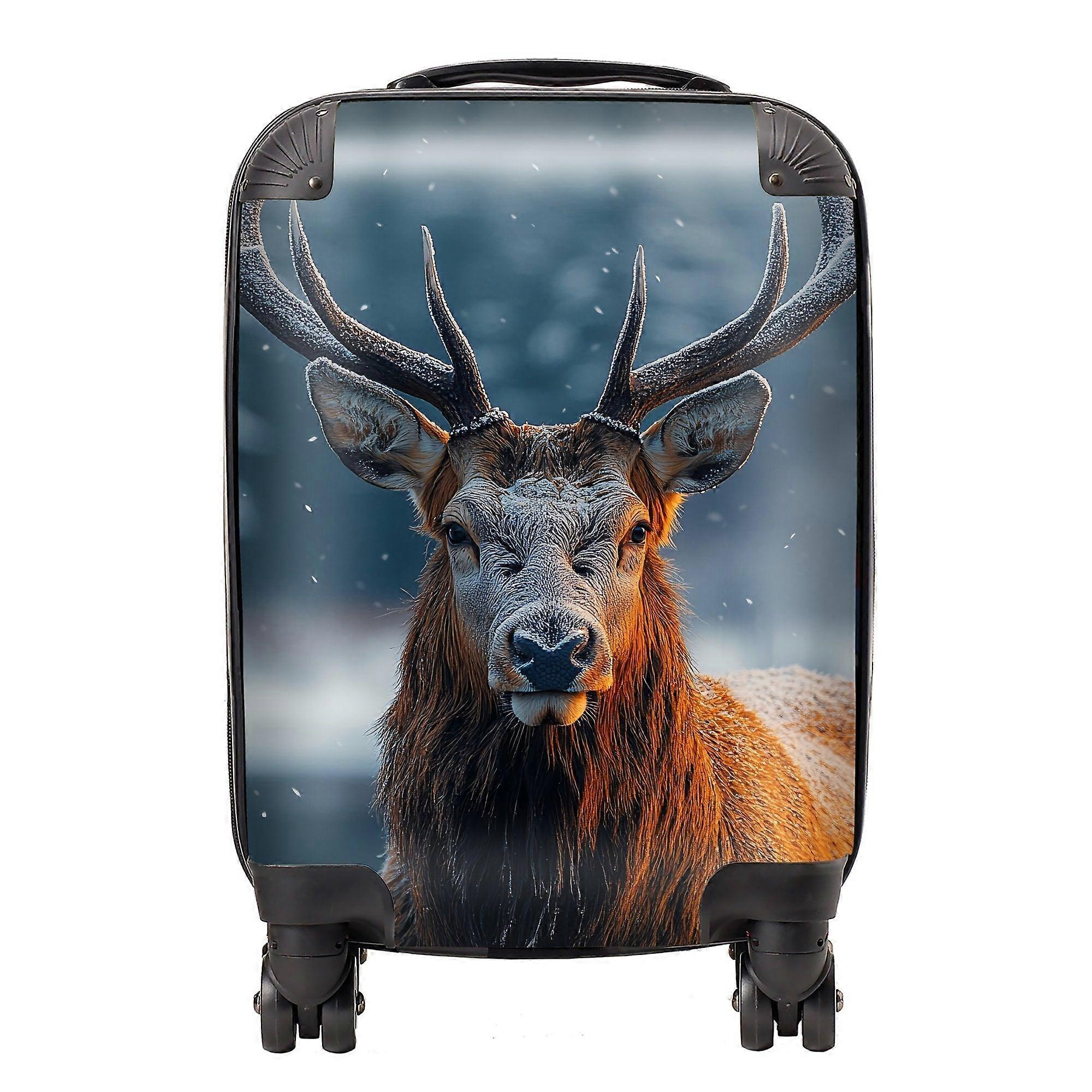 Finn Wilder: 00013 Suitcase