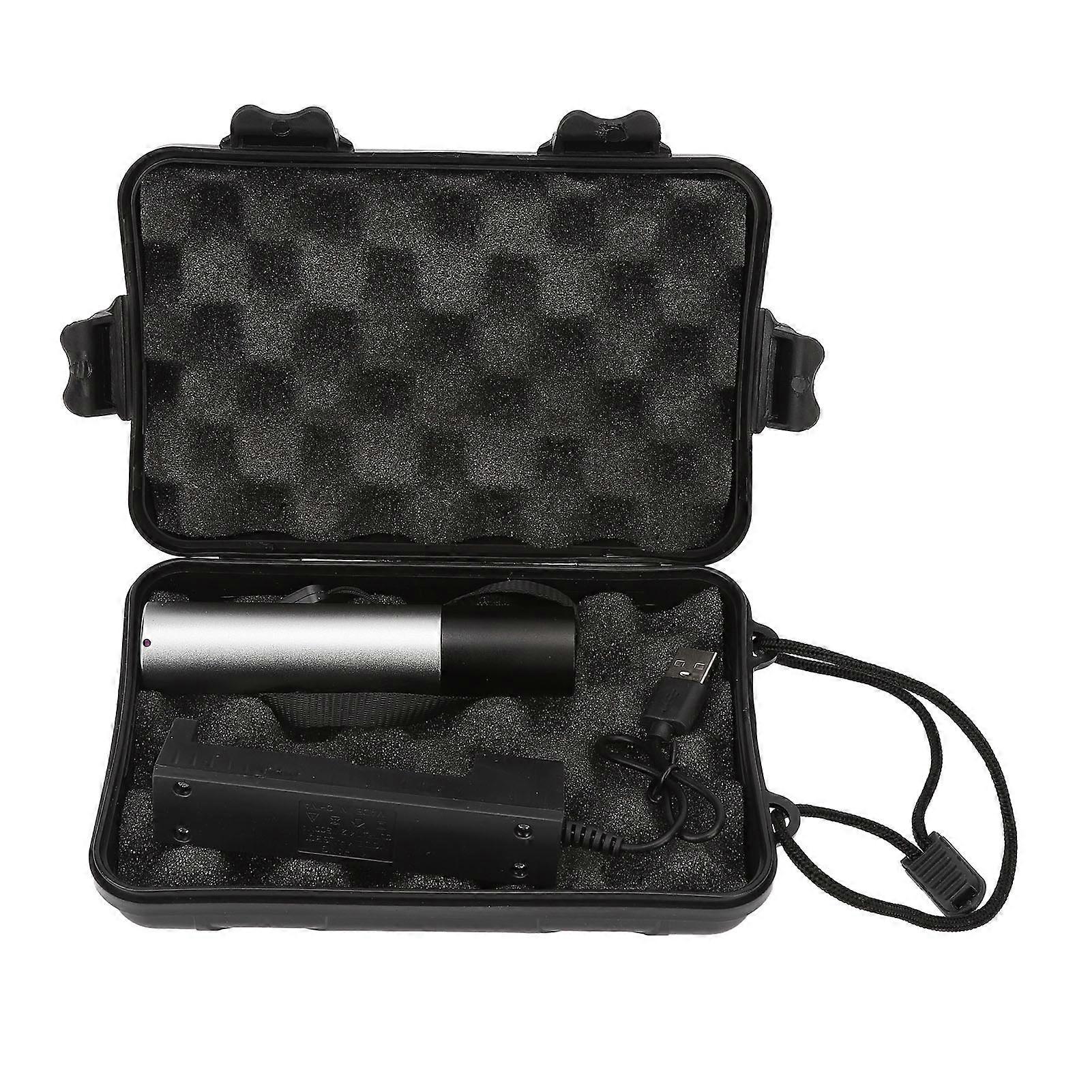 630nm 660nm Red LED Therapy Torch Professional Portable Joint Relief Infrared Therapy Device for Men Women
