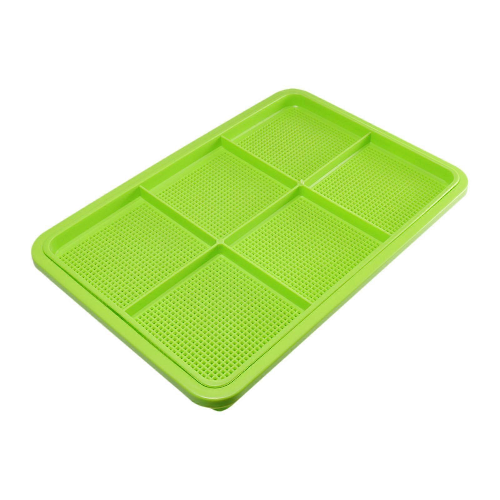 Seed Sprouter Tray 2 Layer Microgreens Growing Wheatgrass Sprouter for Beans Green
