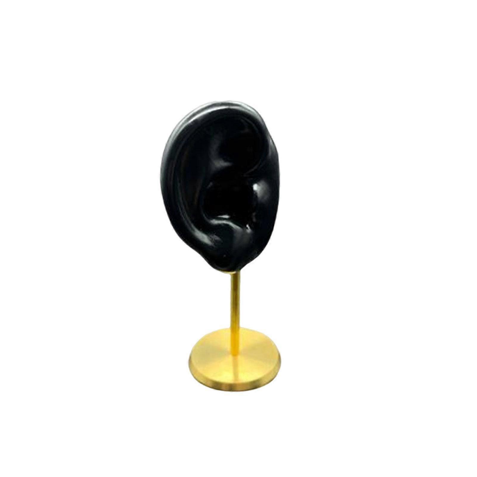 Earring Display Stand Human Ear Model Durable Teaching Tools Storage Rack for