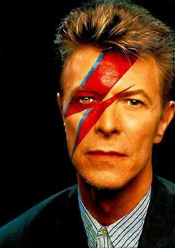 Rompecabezas de David Bowie TP0923