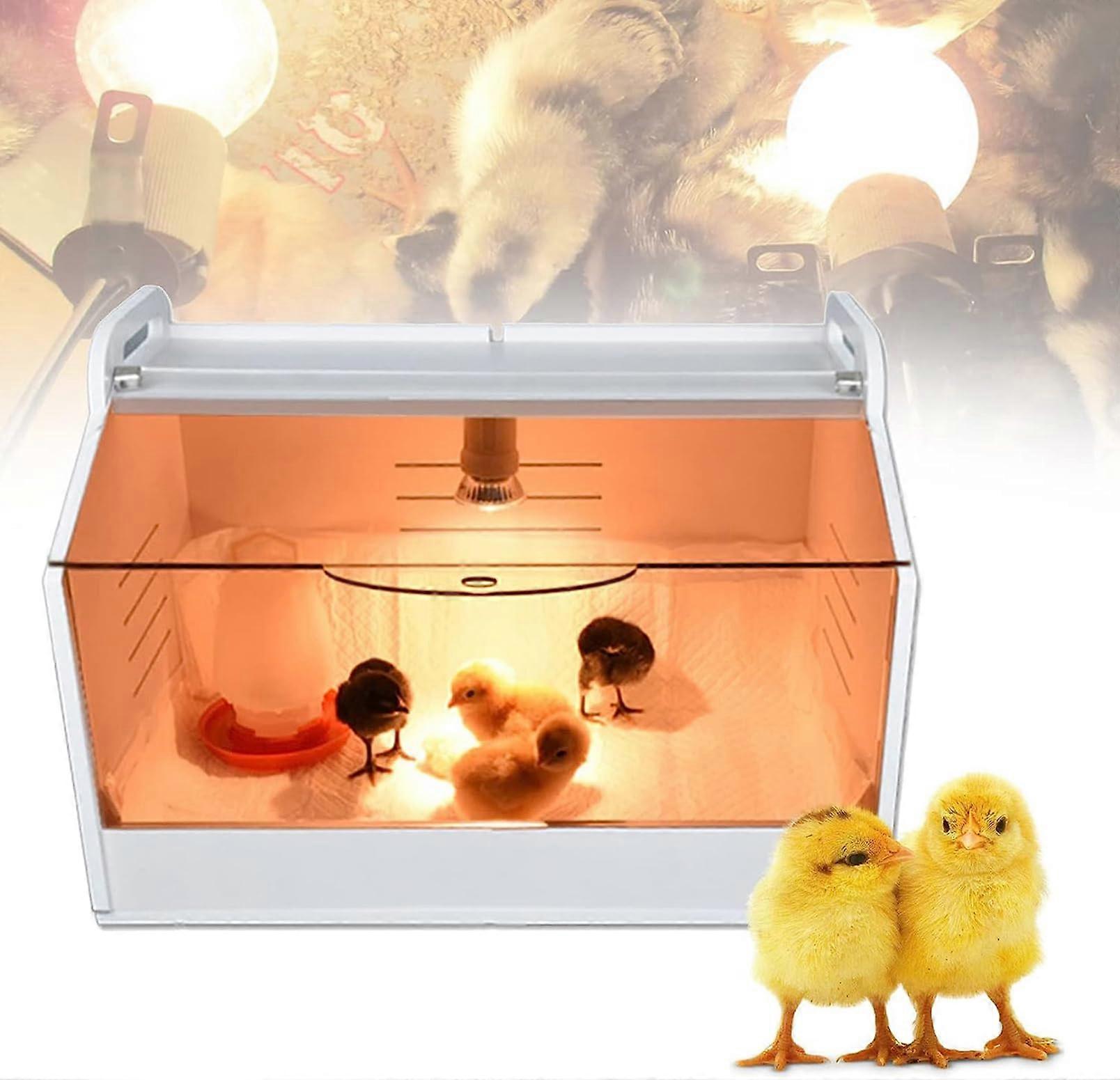 Chick Brooder Box with Adjustable Heat Lamp, Stepless Temperature Control and Thermometer Window for Baby Chicks