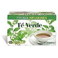 Green Tea Infusions 20 infusion bags