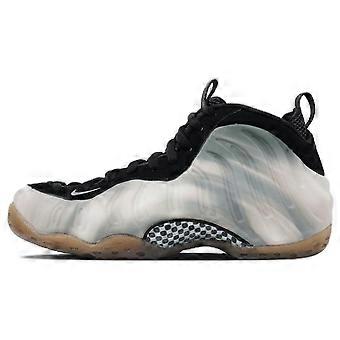 Nike Air Foamposite One Qs Dream A World FB2195-200