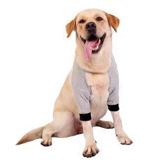 Dog Elbow Brace for Injury Recovery with Secure Buckle Fit and Breathable Cotton Fabric