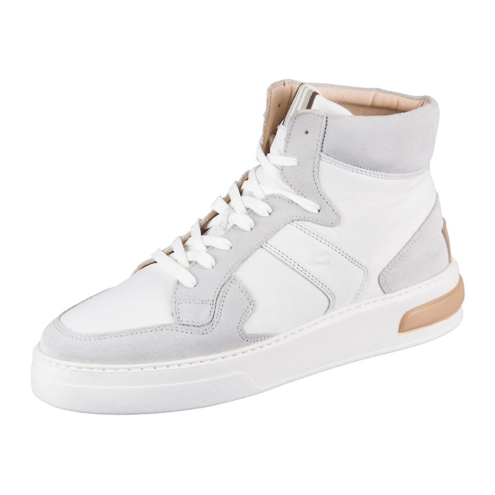 Camel 24131020C29 universal all year women