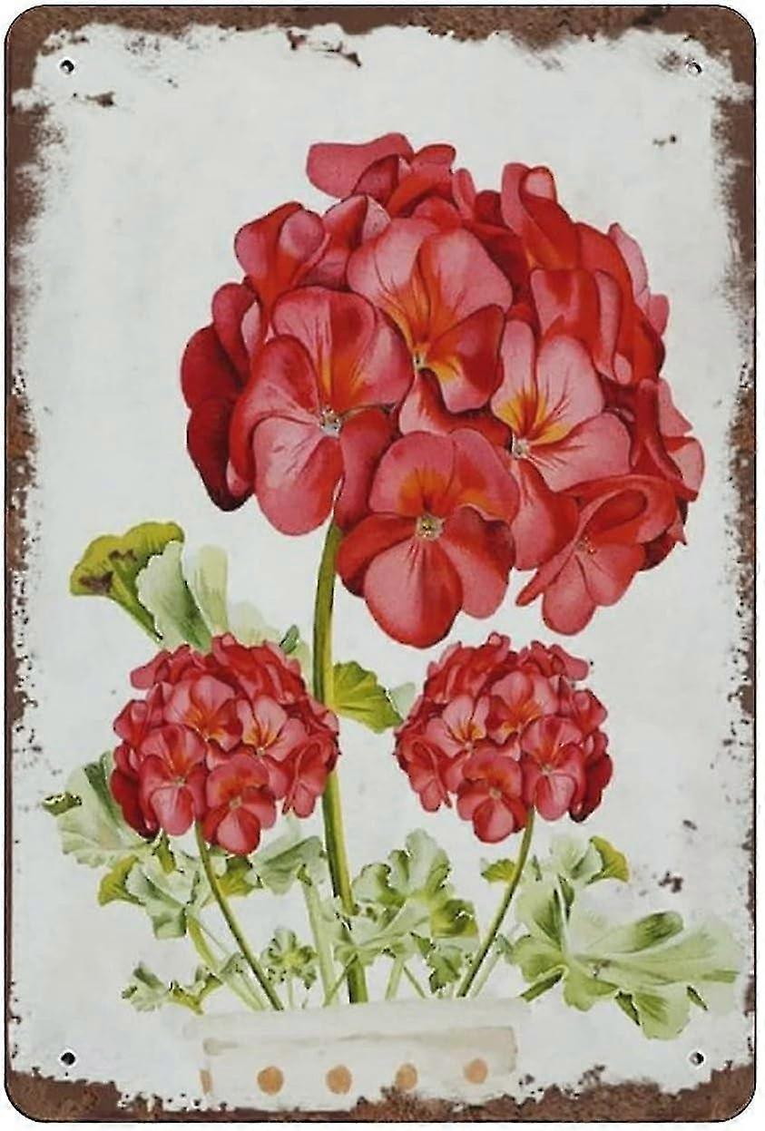 Placa de Metal Floral Suculenta Buquê Vintage Cartaz de Lata Placa de Metal 8x12 Polegadas OU 12x16 Polegadas Modo 2