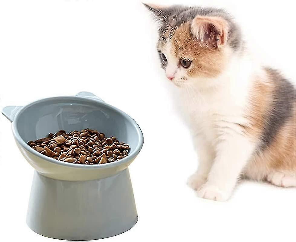 l Dog l Raised  l, Anti Vomiting  l, Non-slip Food And Water l, For Flat F  Small Dog (blue)