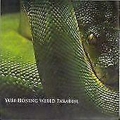 Temptation CD 2 diske (2006) NY