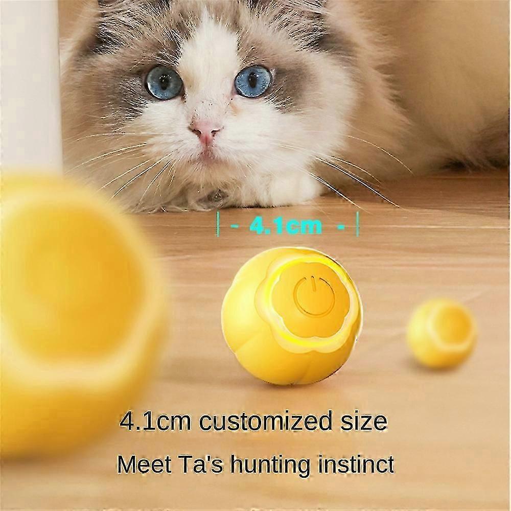 Power Ball 2.0 Cat Toy