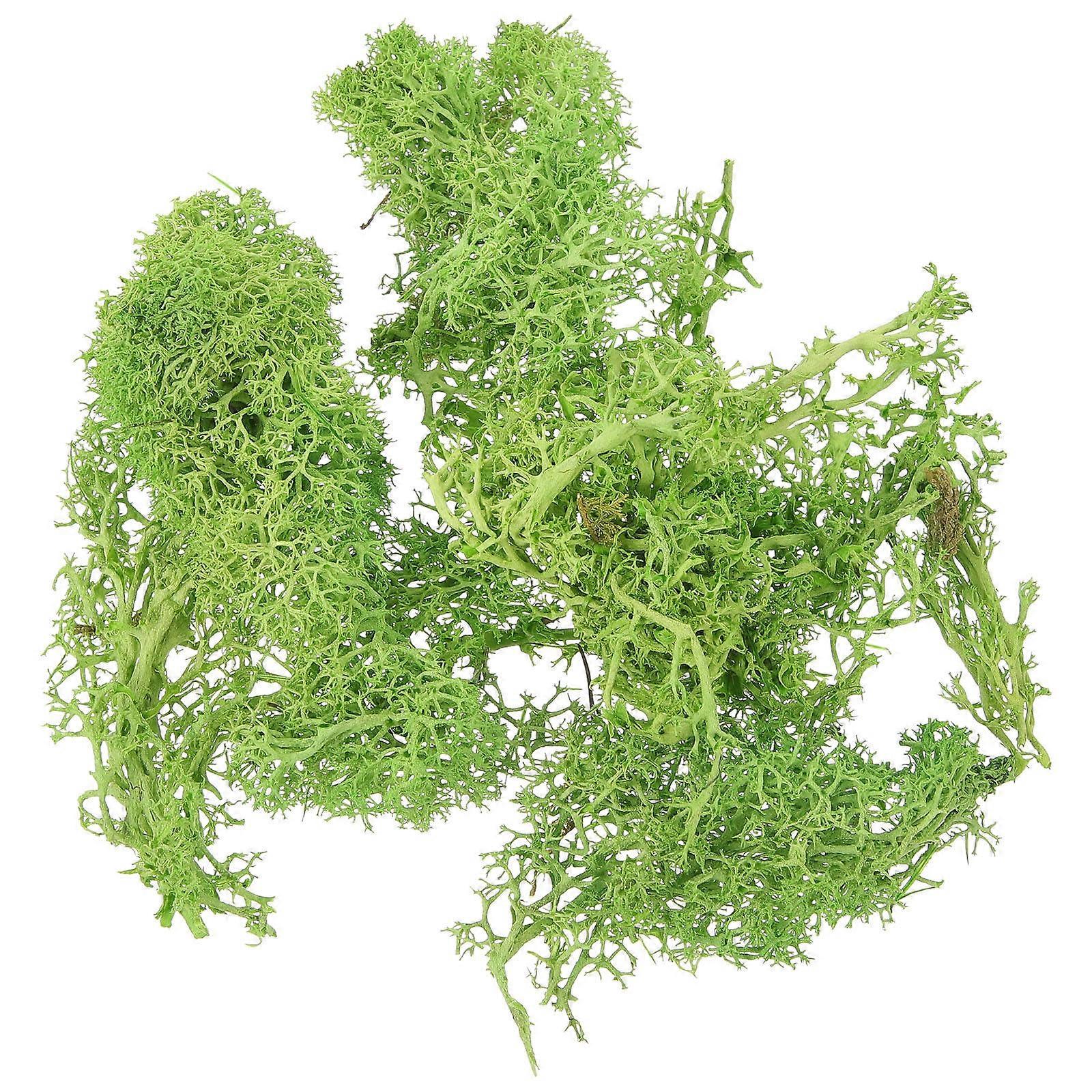 a refined and engaging product description based on your input:
πΏ **Artificial Decorative Moss Pack β DIY Crafting & Miniature Greenery**