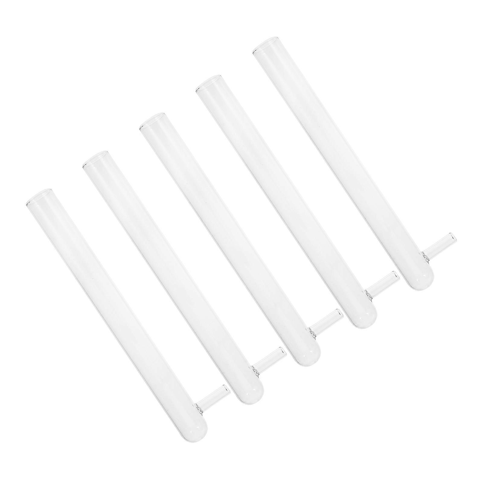 Glass Test Tube with Branch Design for Creating Ant Breeding and Resting Spots
