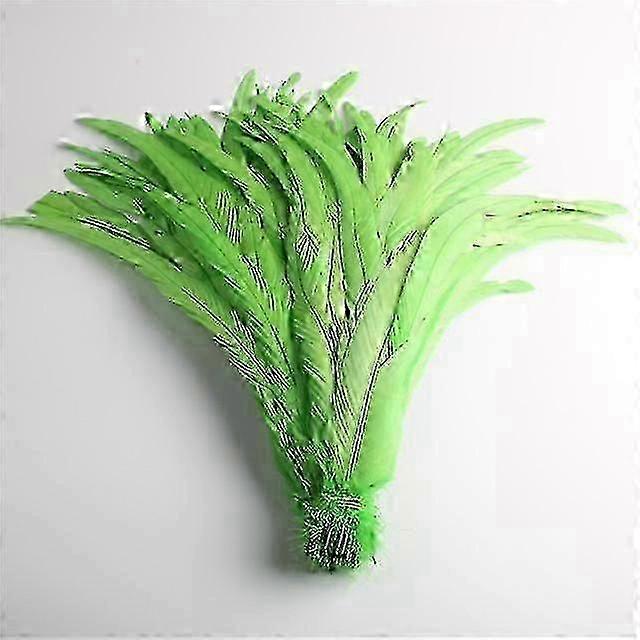 50pcs Penas de cauda de pintinho natural 25 -40cm / 10 -16 polegadas Decoração de roupas Palco Performance Galo