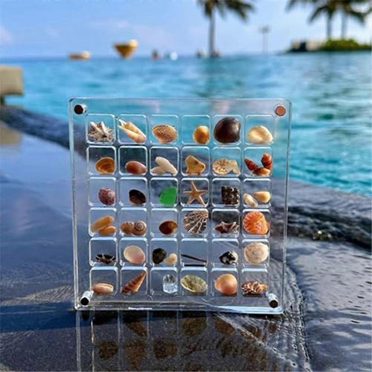 2PCS Acrylic Magnetics Seashell Display Box Grids Clear Acrylic,C
