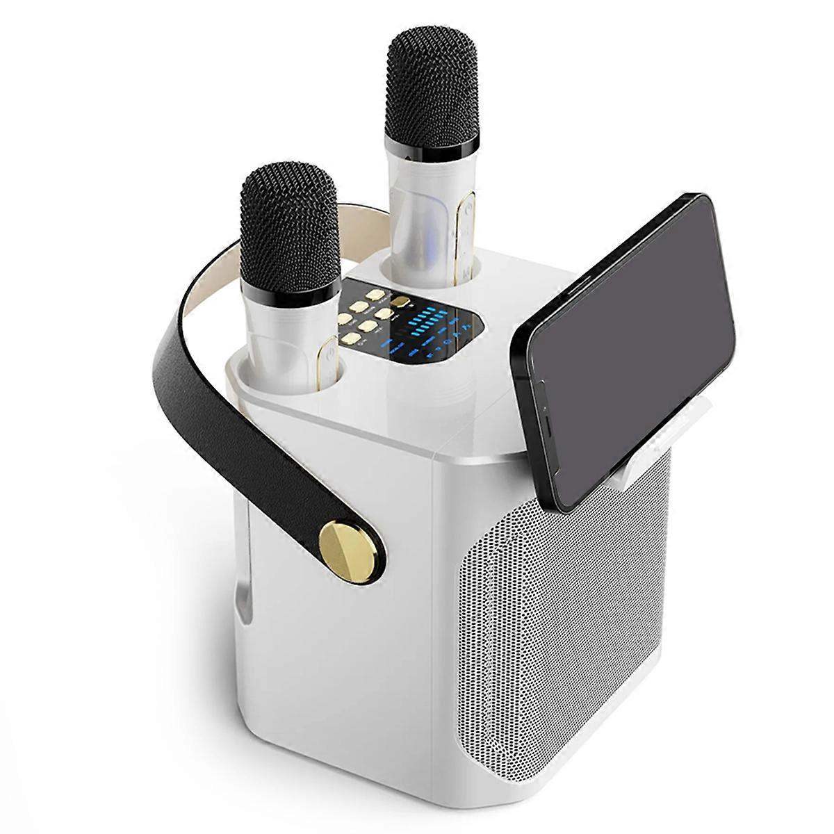 Krachtige karaoke-Bluetooth-luidspreker met dubbele microfoon, wit
