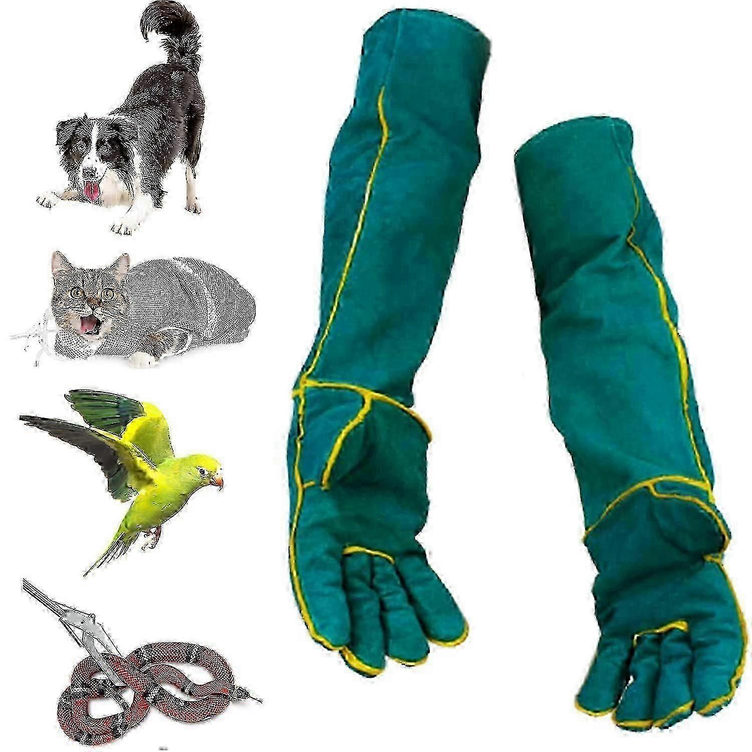 Blind Dog Harness Guiding Device,blind Dog Halo,pet Anti-collision Ring To Protect Cats And Dogs With Blindness, Blurred Vision