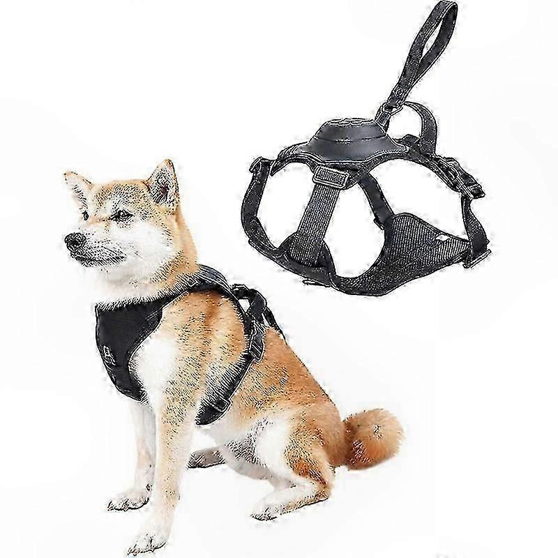 Adjustable Pet Harness with Retractable Leash for Dogs