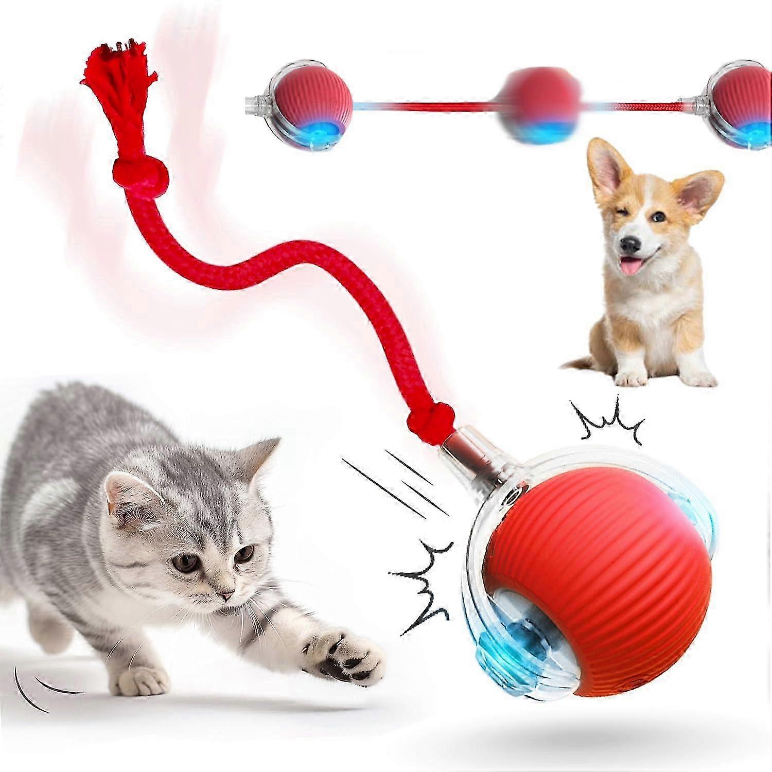 Automatic moving interactive balls for indoor use 2025