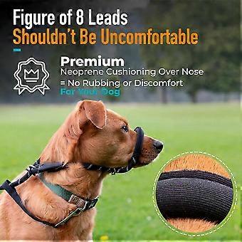 Figure Eight Dog Lead with Nose Loop Anti Pull Design to Reduce Pulling Behavior