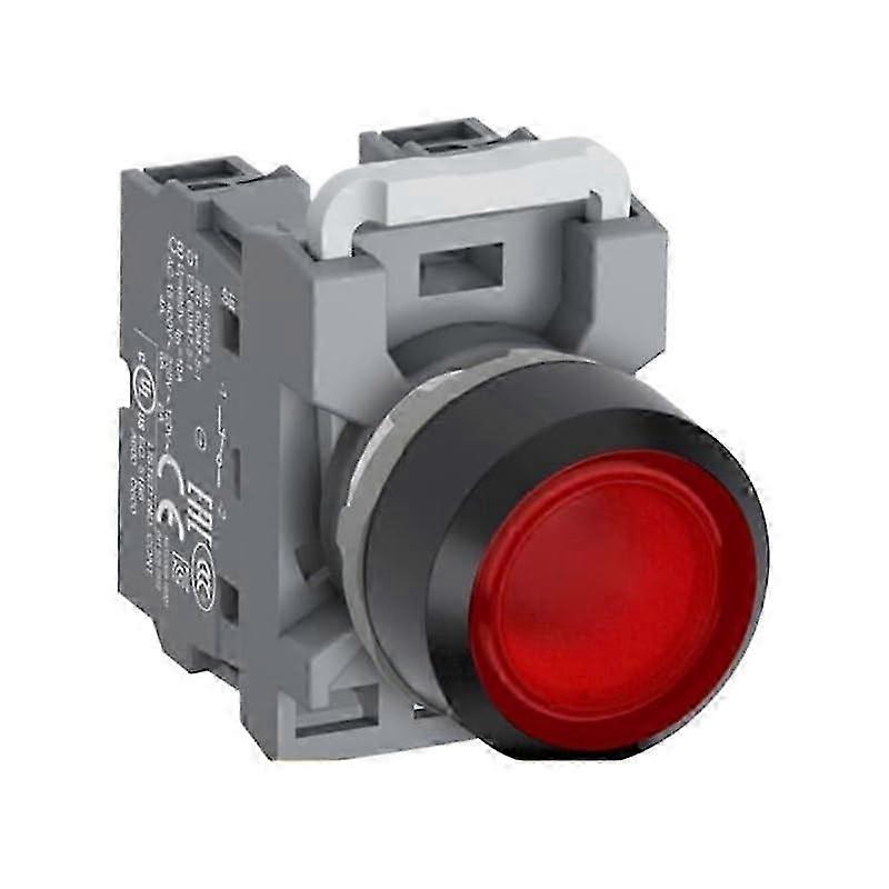 Flat Head Ethernet Push Button Switch