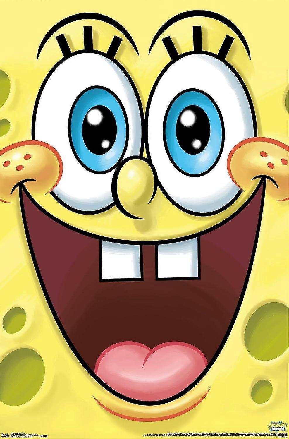 Quebra-cabeça do rosto do Bob Esponja DDA1307
