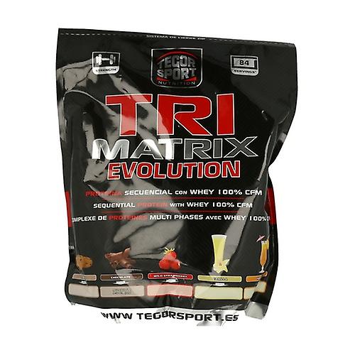 Tri-Matrix Vanilla Flavor 2,5 kg (Vanilla)