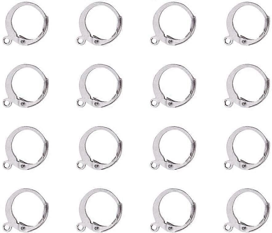 50 Pcs 304 Stainless Steel Lever Back Earring Hooks Earwire with Open Loop 14.5x12x2mm for Jewelry Making