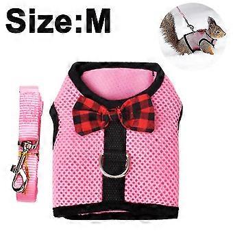 Small Pet Leash