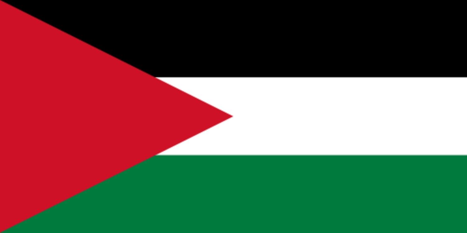 Flag - Palestine - Gaza 