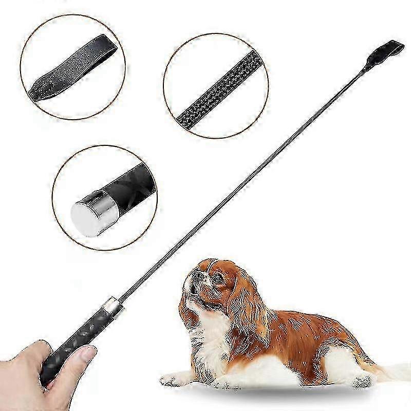 Pet Training Stick For Dogs And Cats