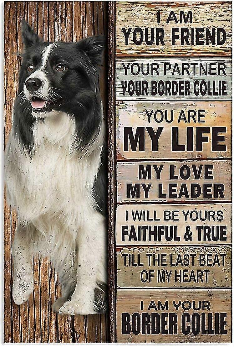 Chien Border Collie, Il Il Était Une Fois Il Y Avait Une Fille Qui Aimait Vraiment Le Border Collie C’était Moi Meta