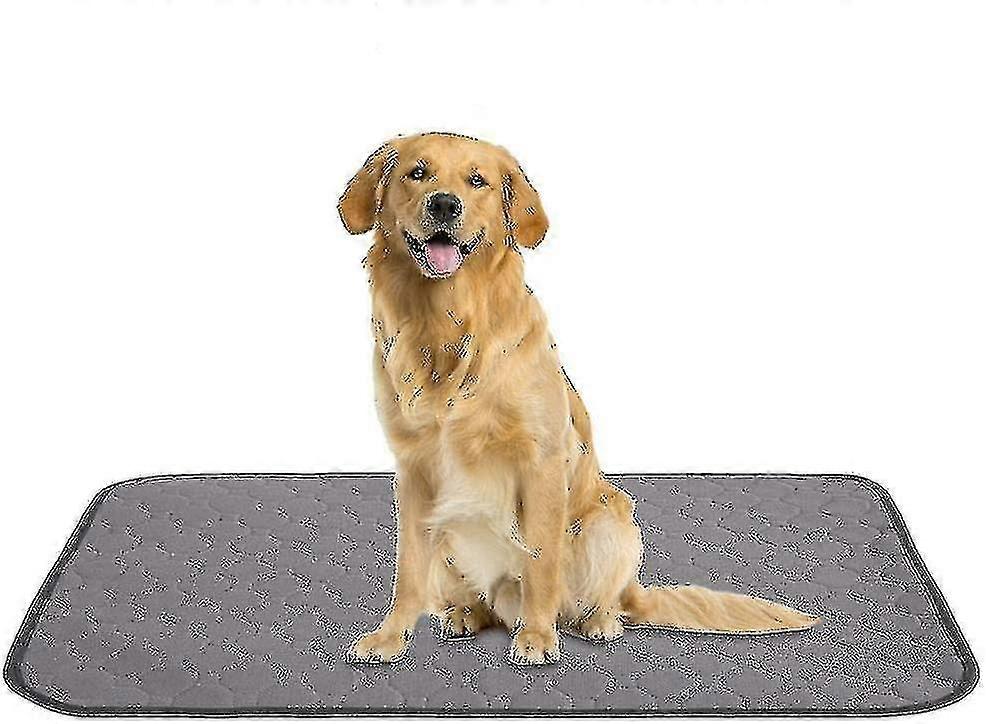 Pet Pee Pad - Washable Dog Pee Pads Reusable Mats Pads For Ba Absorbent Floo