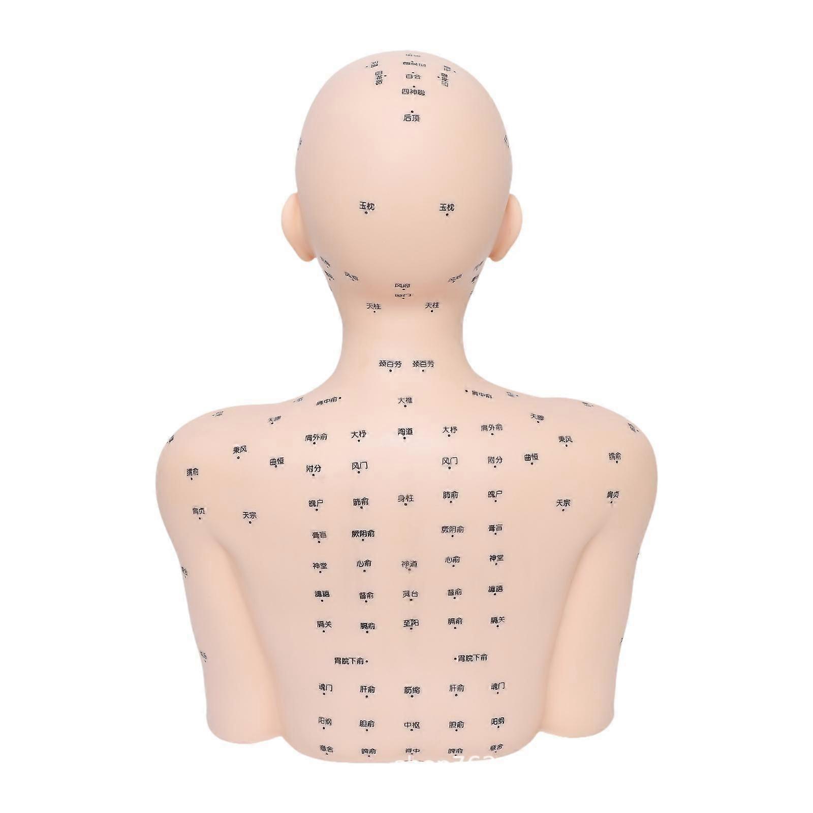 Mannequin Head with Shoulders Massage Practice Tool for SPA Nursing Training Normal