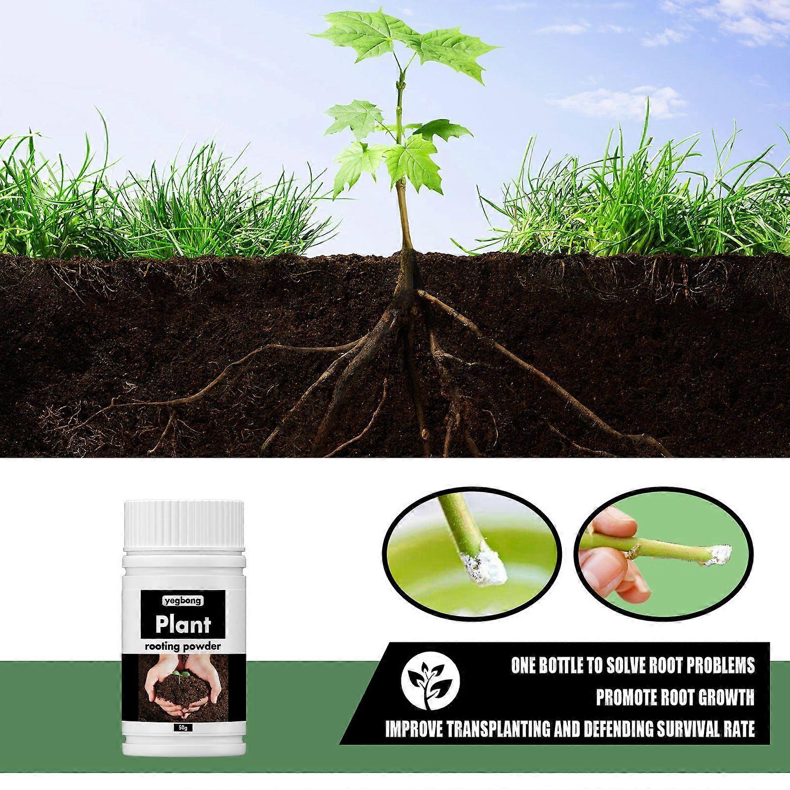 Plant Rooting powder 50g cuttage plant hair root general seedling fruit ...