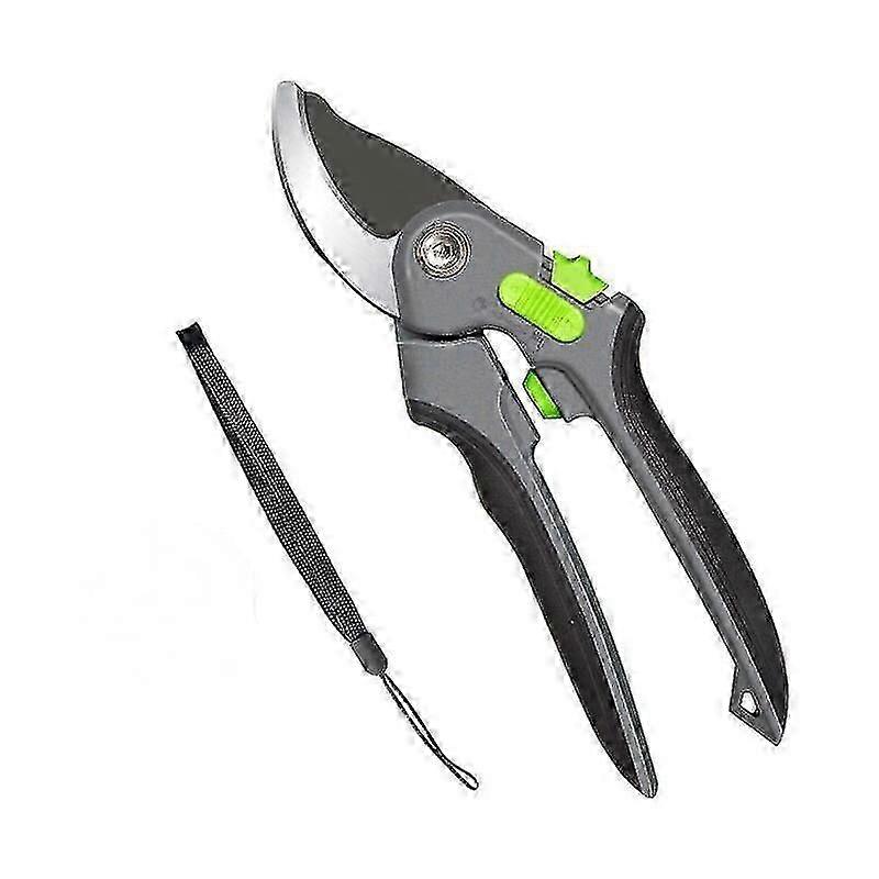Garden Shears, Secateurs, Pruning Branches