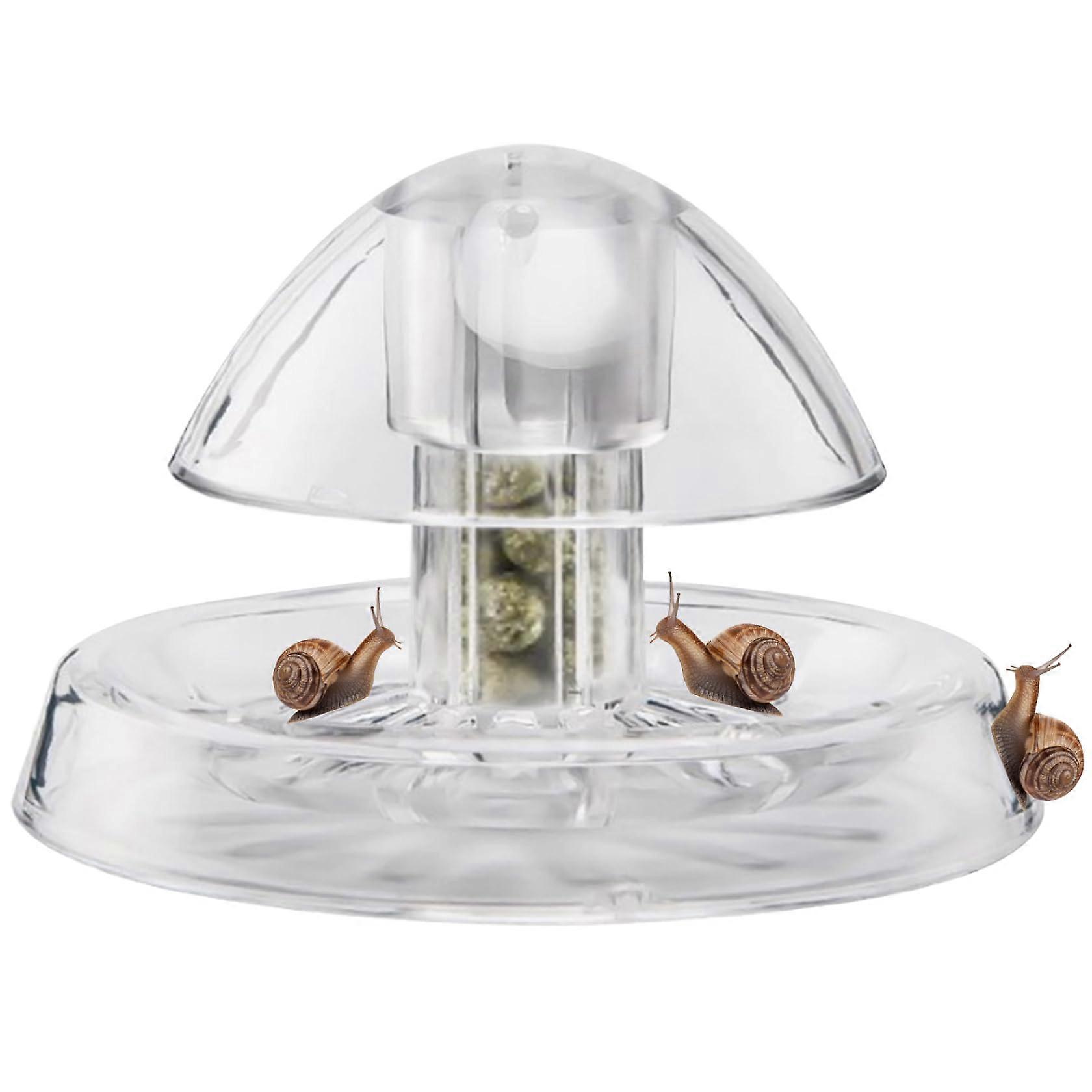 Aquarium Snail Trap Clear, Lightweight Plastic For Freshwater Tanks, Planarian Catch, Floating Design