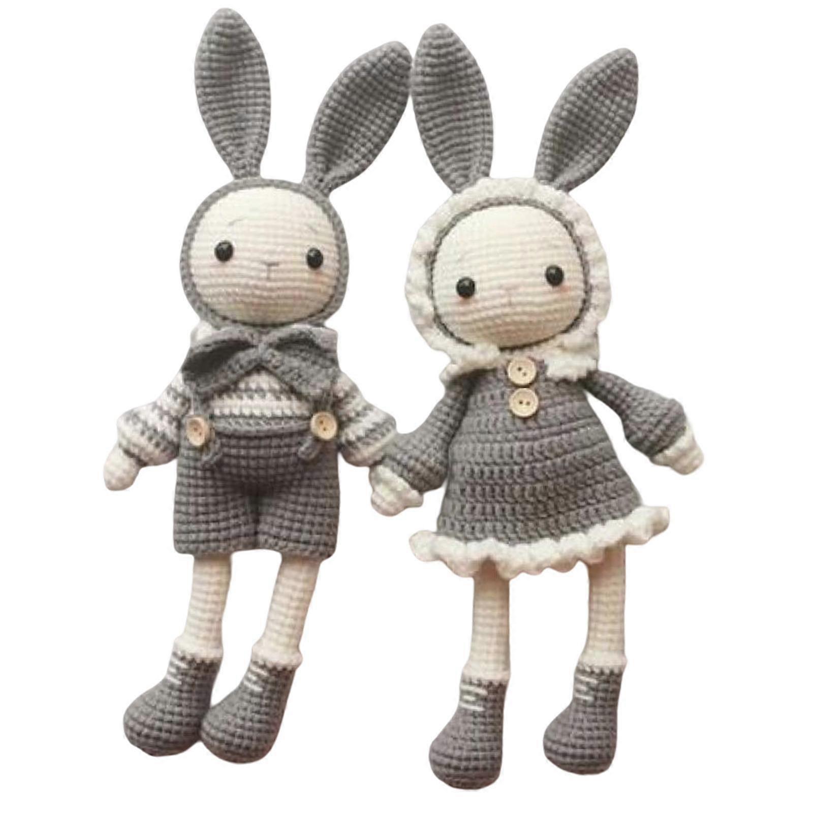 Crochet Kit for Beginner Cute Rabbits Includes Yarn, Hook, Accessories