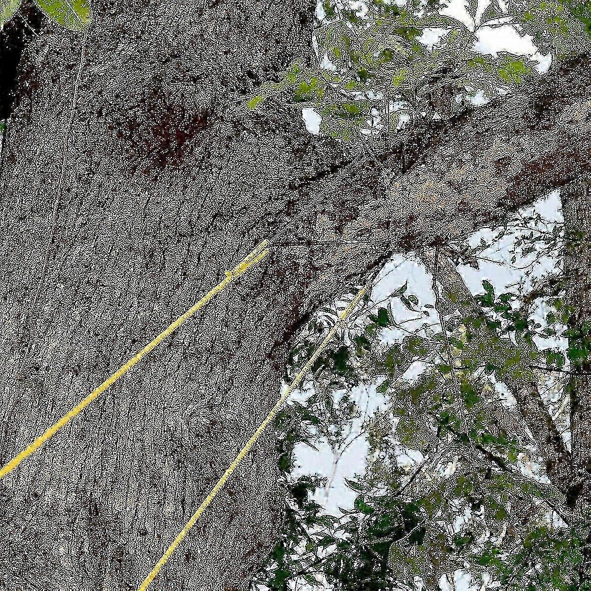 48 'Portable High Reach Tree Main Rope Chain Saw Blades des deux côtés