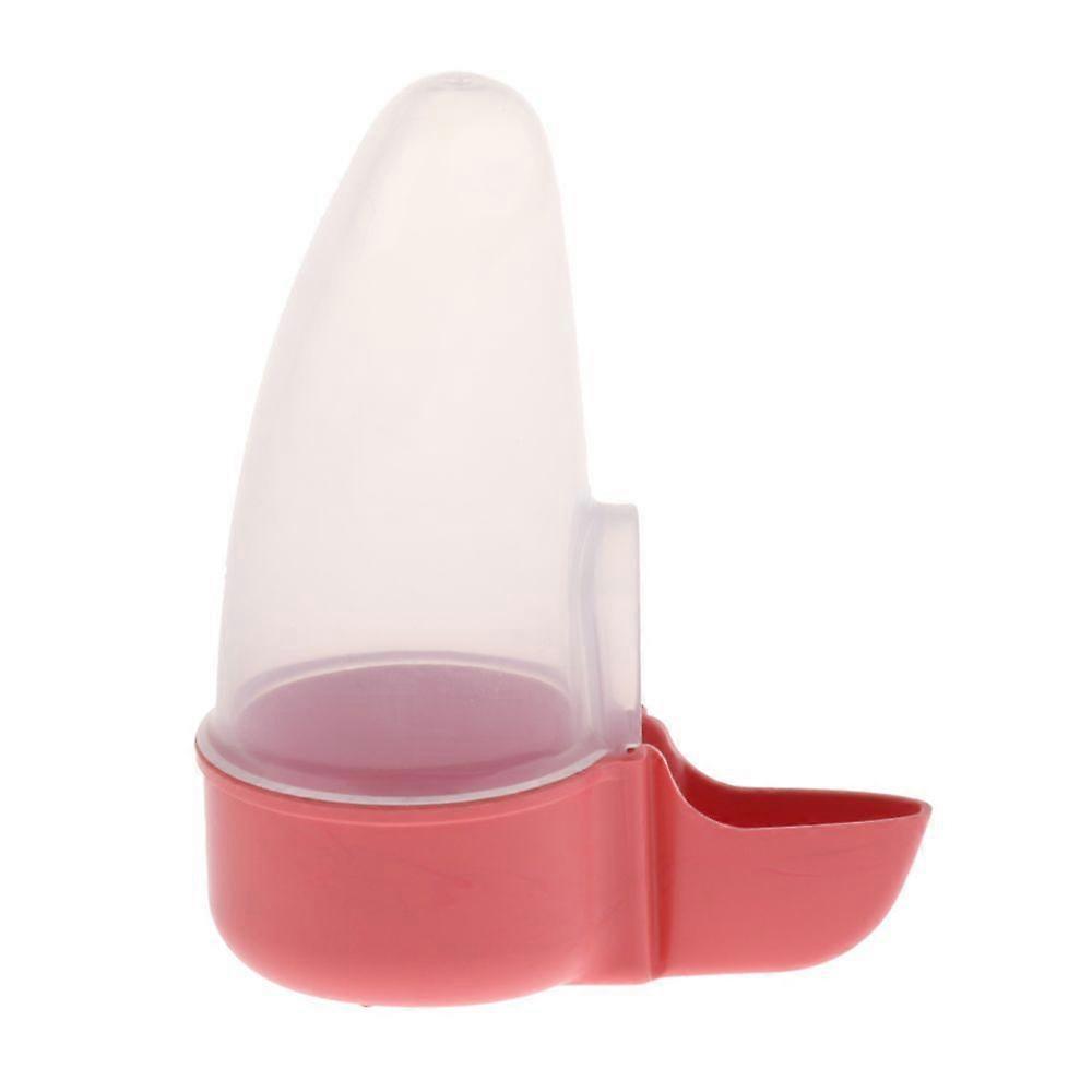 tanque de comida para papagaio