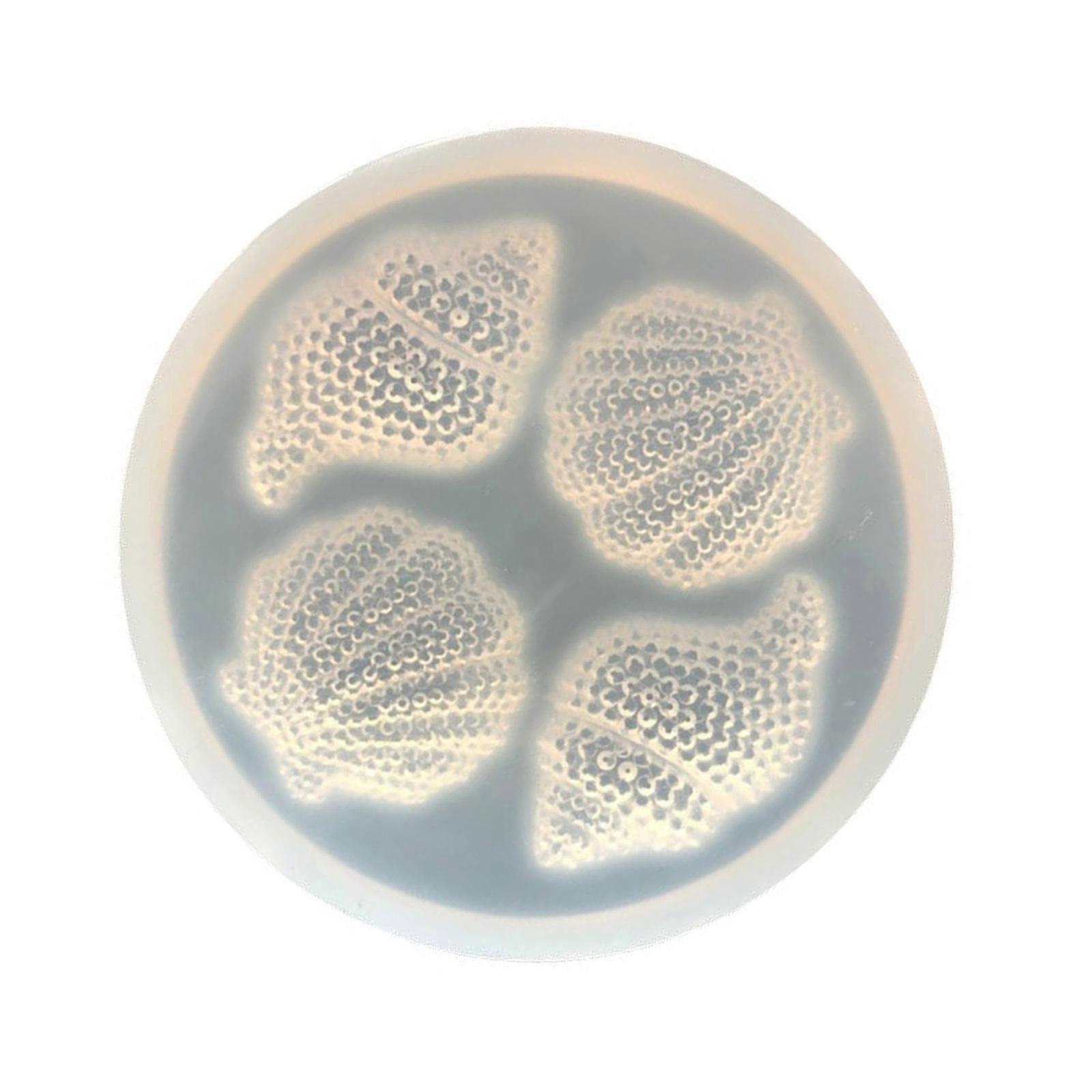 Handmade Silicone Molds Conch Mould Soap Molds Castings Molds Ornament Baking Molds Shell Decoration Molds Multicolor