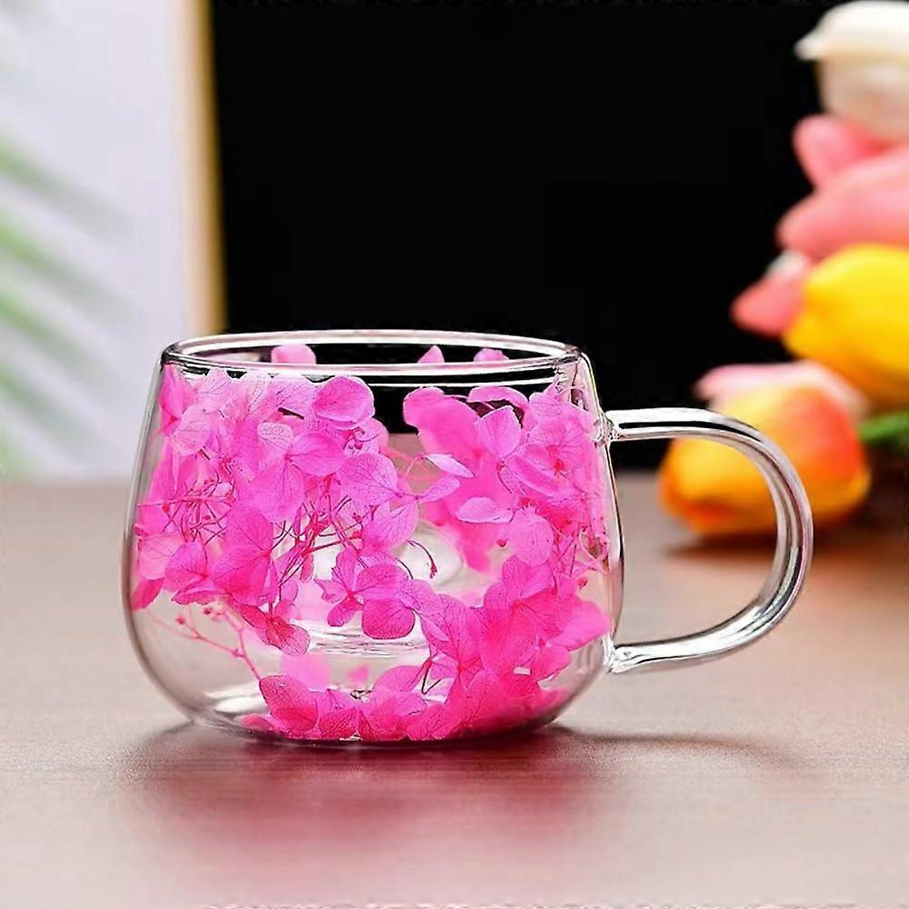 Double Wall Glass Coffee Mugs Set of 2 with Spoons, Flower Design Borosilicate Cups for Hot and Cold Drinks Pink