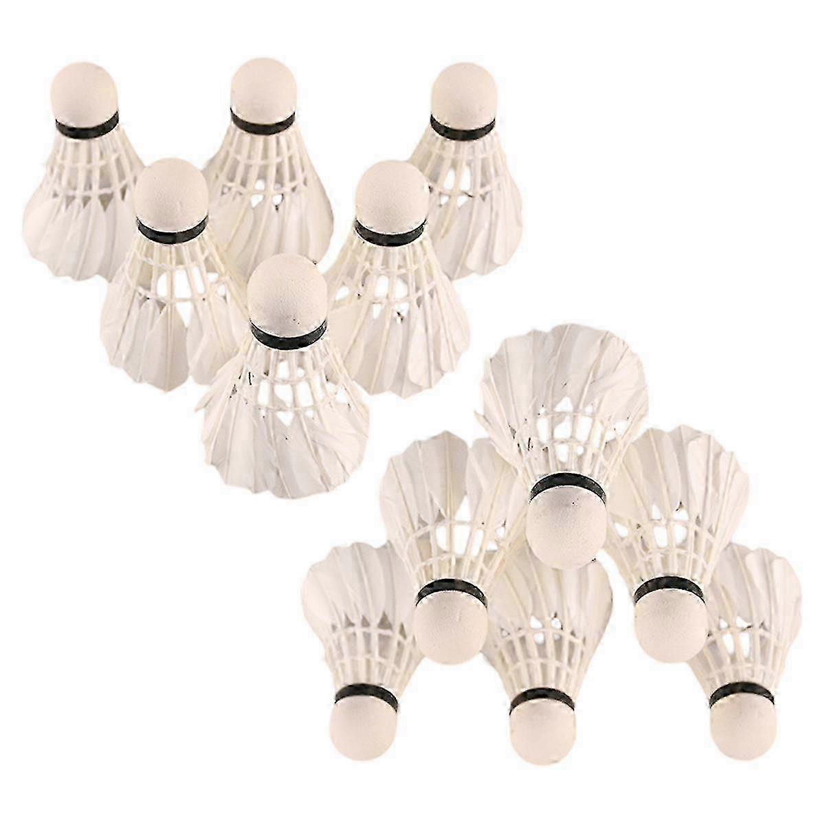 12pcs Badminton Shuttlecocks Set with Storage Tube