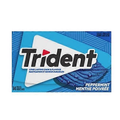 Trident Slab Peppermint Single, 14 Count (Case Of 12)