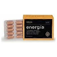 Energy 60 capsules