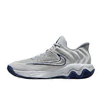 Nike Giannis Immortality 4 Abrasion Resistant Low top Basketball Shoes Unisex Gray FQ3681-008