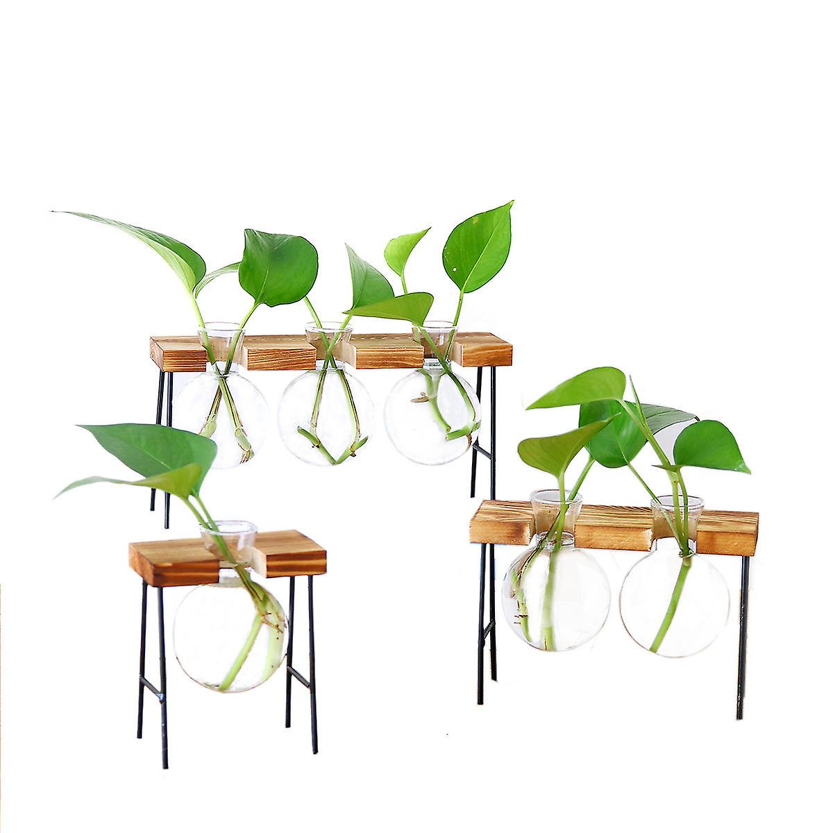 Ball Shape Glass Vase Hydroponic Plant Container With Wooden Shelf Stand - Table Desk Flower Decor