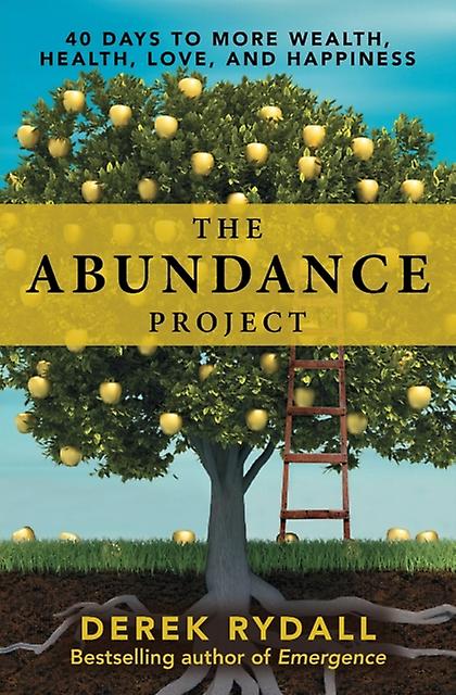 The Abundance Project by Derek Rydall Paperback Book