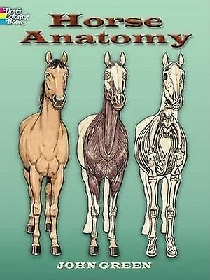 Horse Anatomy Coloring Book